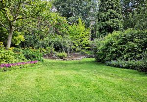 Optimiser l'expérience du jardin à Saulge-l'Hopital